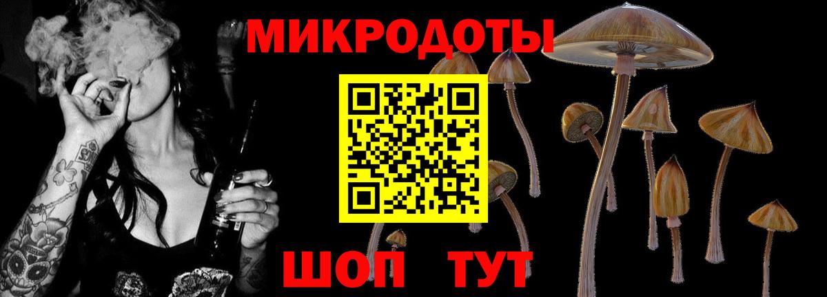 Галлюциногенные грибы Cubensis  Вход с VPN  Белово  Псилоцибиновые грибы GOLDEN TEACHER 